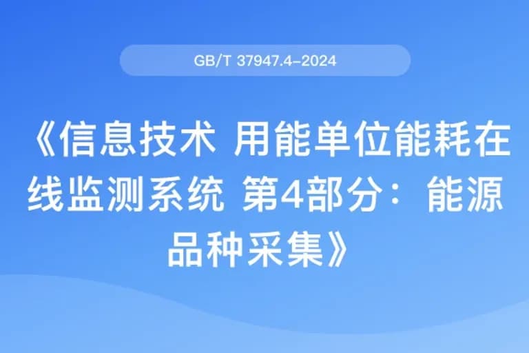 信息技术 用能单位能耗在线监测系统 第4部分：能源品种采集（GB/T 37947.4-2024）